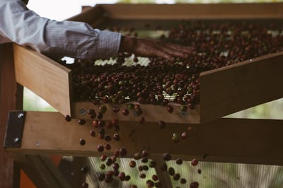 human rights due diligence